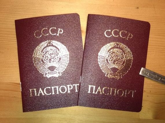 прописка в Петушках